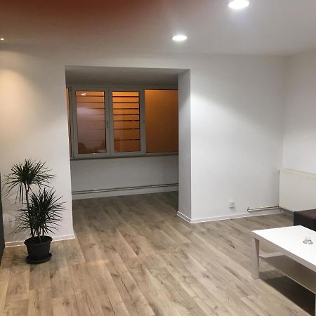 Apartment City Center ピテシュティ エクステリア 写真