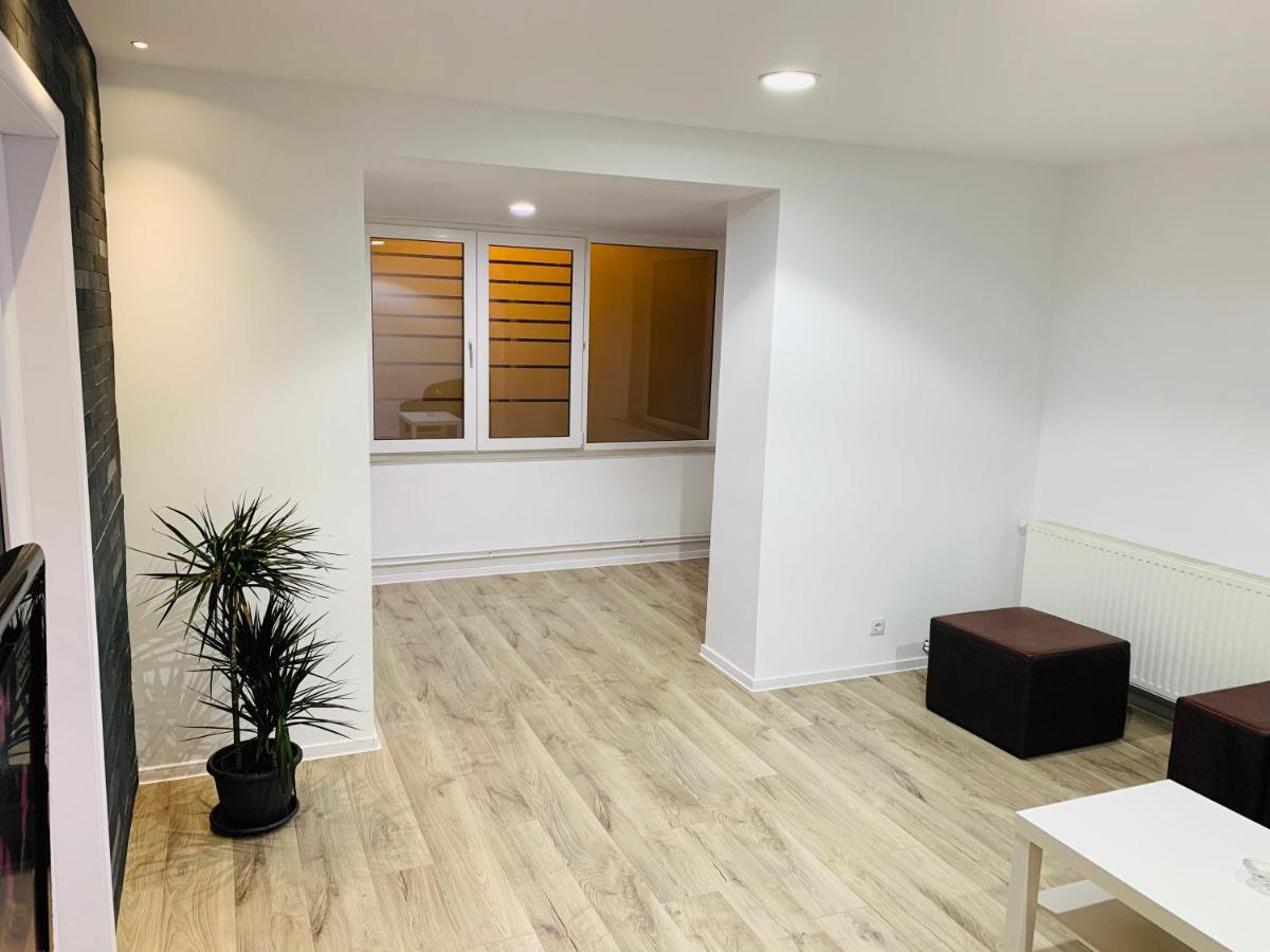 Apartment City Center ピテシュティ エクステリア 写真