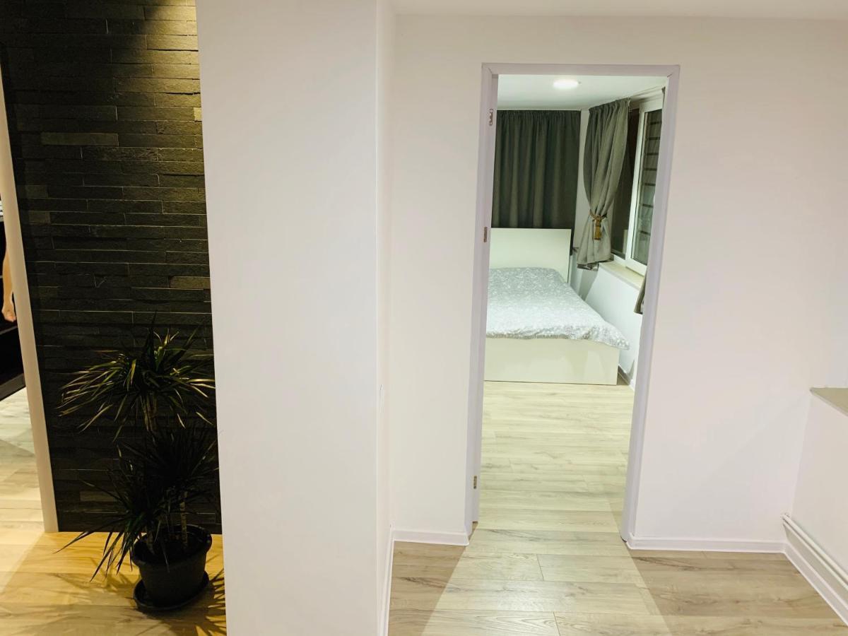 Apartment City Center ピテシュティ エクステリア 写真